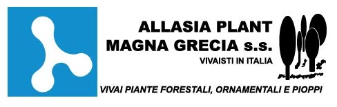 Allasia Plant Magna Grecia Logo